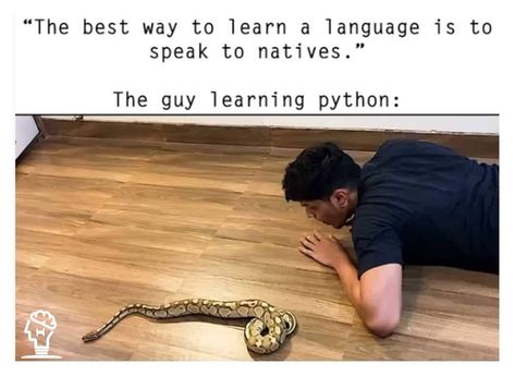 The Guy Learning Python 🤣 #Theta Learning Python, Programing Jokes, Programming Quote, Coding Humor, Programmer Jokes, Nerdy Jokes, Programming Humor, Nerdy Humor, Nerd Jokes