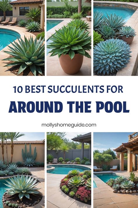 Transform your pool area into a stunning oasis with succulents around the pool. Enhance your landscape design with a potted garden around the pool or create a serene garden by the pool. Elevate your outdoor space with landscaping near the pool, incorporating succulent landscape design elements for a beautiful and low-maintenance setting. Discover creative ideas to incorporate succulents around your pool area today! Pool Patio Plants, Planters For Pool Area, Desert Landscape Around Pool, Succulent Pots Outdoor, Around Pool Decorating Ideas, Pool Tropical Landscaping, Front Yard Succulent Landscaping, Potted Plants Around Pool, Pool Landscaping With Rocks