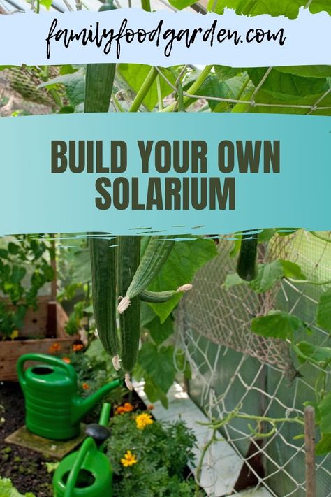 Diy Seedling Greenhouse, How To Build A Solarium, Diy Solarium, Diy Lean To Greenhouse, Diy Polycarbonate Greenhouse, Diy Greenhouse Cheap Easy For Winter, Lean To Greenhouse Kits, Healthy Fruits And Vegetables, Garden Prepping