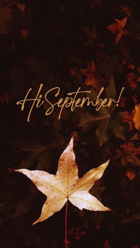 September Happy New Month, September New Month Wishes, First Day Of September Quotes, Welcome September Images, September Wallpaper Aesthetic, September Welcome, First Of September, Aesthetic September, New Month Wishes