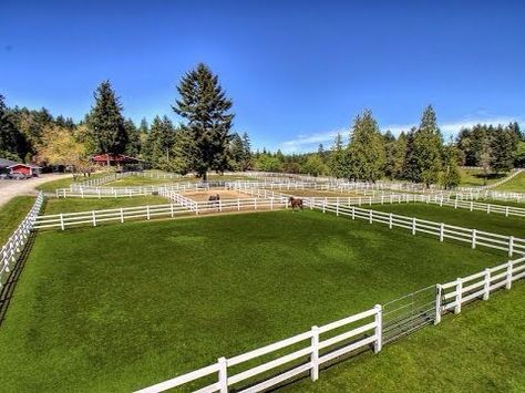 Small Paddock, Horse Paddock Layout, Small Horse Paddock, Horse Paddock Ideas, Horse Pasture Ideas, Horse In Paddock, Horse Turnout Paddock, Horse Run In Shelter With Tack Room, Pasture Shelter