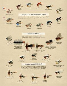 bass fishing tips #BassFishingTips Trout Fishing Gear, Fishing Hacks, Fishing Basics, Trout Fishing Tips, Interior Elements, Fly Fishing Flies Pattern, Fly Fishing Tips, Bass Fishing Tips, Fly Tying Patterns