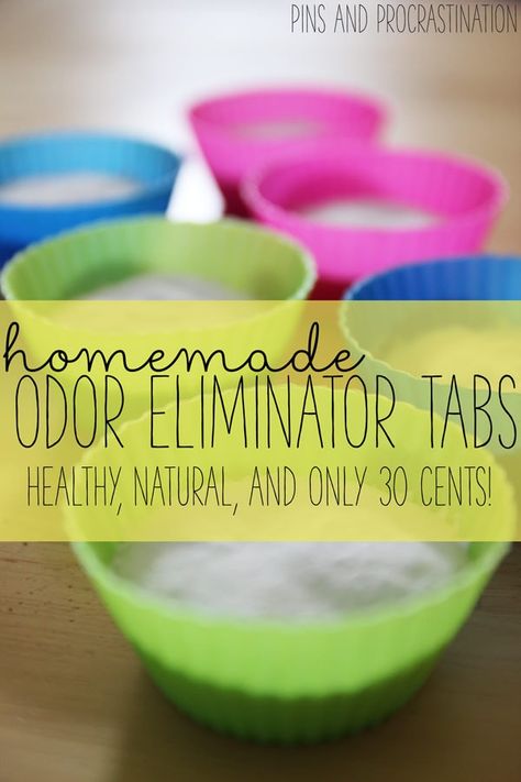 Odor Eliminator House, Odor Eliminator Diy, Pet Odor Eliminator, Natural Cleaners, Pet Odors, Diy Cleaners, Odor Remover, Odor Eliminator, Cleaning Recipes