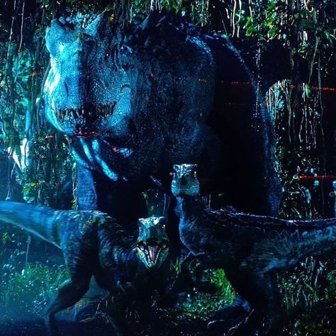 Indominus rex Jw Jurassic World Indominus Rex, Blue Jurassic World, Jurassic Park Series, Jurassic World 2, Dinosaur Photo, Indominus Rex, Jurrasic Park, Jurassic World Fallen Kingdom, Dinosaur Pictures