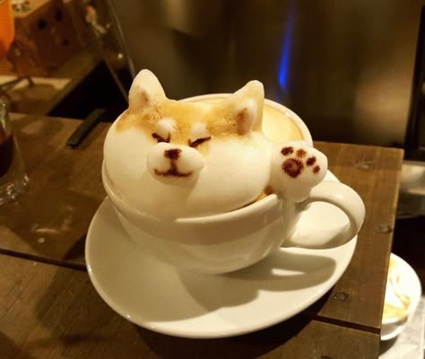 Coffee Latte Art, Kawaii Food, Coffee Latte, Latte Art, Coffee Art, Shiba Inu, Cute Food, Food Art, Cute Stuff