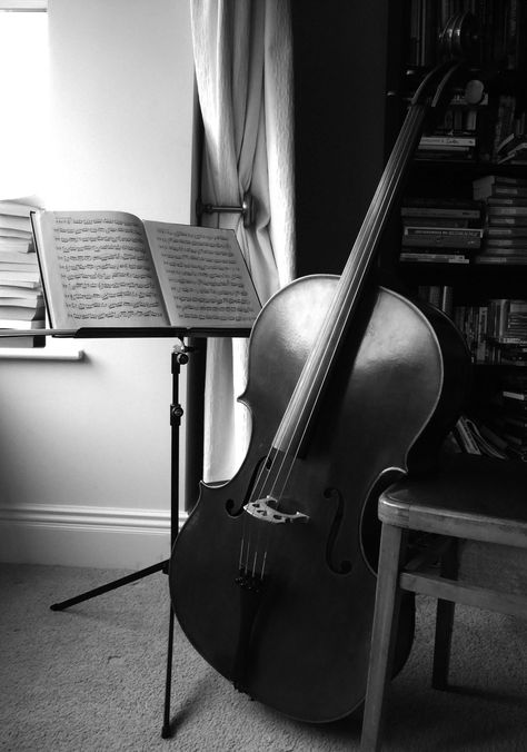 Cello Black, Passion Girl, Cello Art, Cello Photography, Musician Photography, Music Motivation, Fairytale Photography, Music Student, Moving In Together