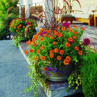 39 cool container gardens  Beautiful container plantings for your deck, entryway, or yard Planter Gardening, Flowers In Pots, Media Sombra, Fountain Grass, Fall Planters, Garden Idea, Autumn Flowers, Have Inspiration, Container Design