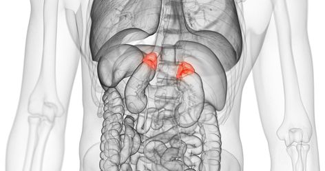 Cushings Disease In Women, Too Much Cortisol, Low Cortisol Levels, Cushing Syndrome, Cushing’s Syndrome, Cushings Disease, Cushings Syndrome, Lower Cortisol Levels, High Cortisol