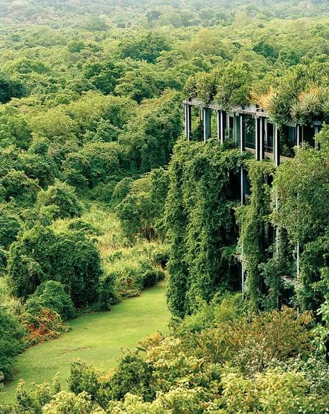 Iconic Tropical Brutalist Buildings - The New York Times Geoffrey Bawa Kandalama Hotel, Kandalama Hotel Sri Lanka, Geoffrey Bawa Landscape, Heritance Kandalama, Kandalama Hotel, Tropical Brutalism, Eco Brutalism, Nature Reclaiming, Sigiriya Sri Lanka