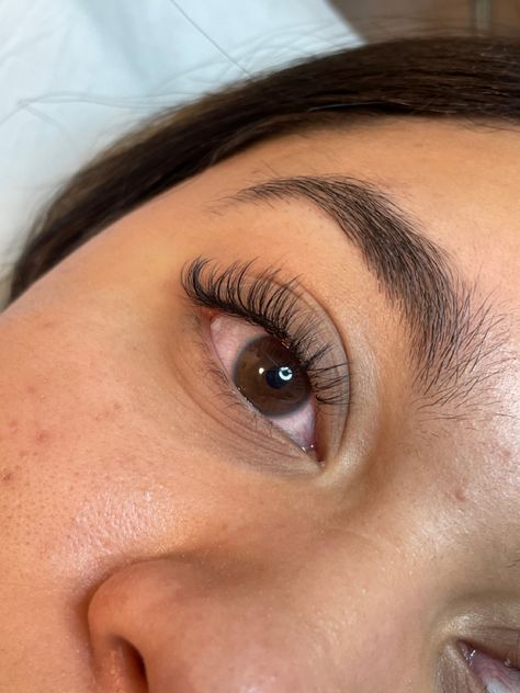 Natural Light Hybrid Lash Extensions, Light Hybrid Lashes Cat Eye, 3d Hybrid Lash Extensions, Hybrid Lash Extensions Natural, Light Hybrid Lashes, Light Lash Extensions, Light Hybrid Lash Extensions, Hybrid Lash Extensions, Hybrid Lashes