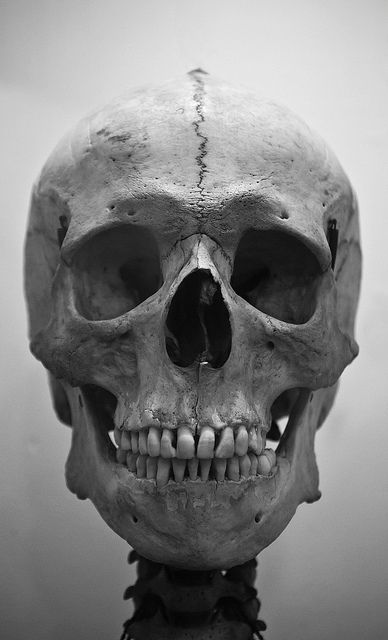 In the Mirror | Human Skull | Paul | Flickr Human Skull, The Mirror, Mirror, Black And White, Human, White, Black