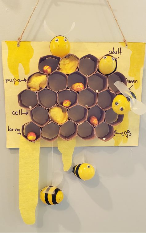 Beehive Activities For Preschool, Bumble Bee Craft Kindergarten, Bee Model School Project, Bee Day Eyfs, Honey Bee Life Cycle Project, Honey Bee Science Fair Project, Beehive Dramatic Play, Life Cycle Of A Bee Craft, Egg Carton Bee Hive