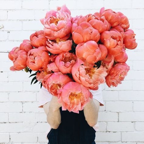 Peach Peonies, No Rain, Cactus Y Suculentas, Beautiful Blooms, Pink Peonies, Wedding Flower, Hi There, Love Flowers, My Flower