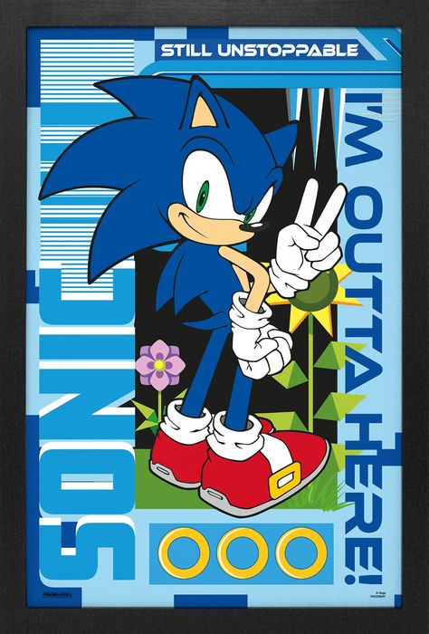 Sonic the hedgehog 2