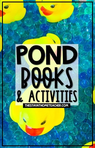 Preschool Organization, Books And Activities, Books Science, Welcome To Kindergarten, Sequencing Cards, Frog Life, Preschool Planning, Pond Life, Math Literacy