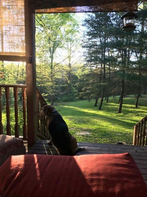 Morning Porch Aesthetic, Reading On Porch Aesthetic, Back Porch Aesthetic, Front Porch Aesthetic, Granola Hippie Aesthetic, Porch Aesthetic, Porch Vibes, Dog Cowboy, Cozy Front Porch