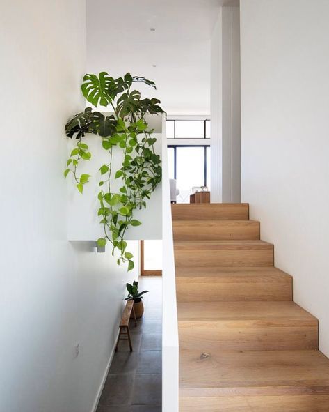 • • G R E E N E R Y • • This pop of colour at the top of the stairwell is a nice feature amongst the beautiful paired-back neutral… Plants Stairs Indoor, Stairwell Plant Ideas, Plant On Stair Landing, Plants In Staircase, Stairwell Plants, Staircase Plants Indoor, Plants On Stairs Indoors, Staircase With Plants, Plants Staircase