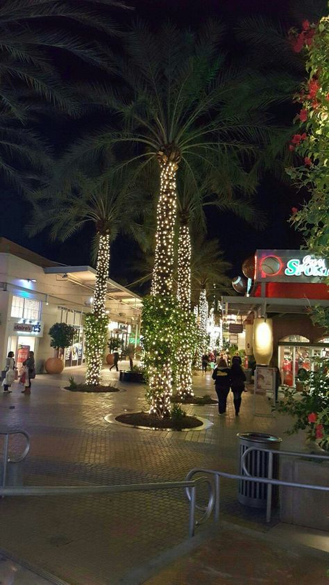 Tempe Marketplace #WhyHB #OurTempe Phoenix Az Aesthetic, Cactus Heart, Arizona Aesthetic, Tempe Arizona, Mm Romance, Bus Life, Tempe Az, Winter 23, Gay Romance