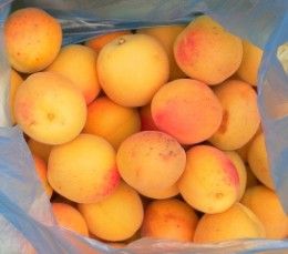 Apricot Bars Recipe, Apricot Chutney, Gut Foods, Summer Canning, Apricot Bars, Fresh Apricots, Apricot Jam Recipes, Snacking Cake, Freezing Fruit