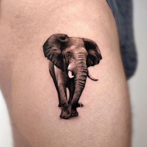 Realistic Elephant Tattoo, Wildlife Tattoo, Monkey Tattoos, Elephant Tattoo Design, Realistic Tattoo, Incredible Tattoos, Elephant Tattoo, Tattoo Style Drawings, Unique Tattoo Designs