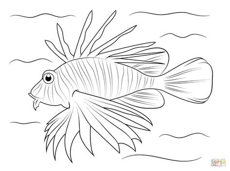 Lionfish Lionfish Drawing, Stainglass Patterns, Mandala Animals, Fish Outline, Ocean Quilt, Lion Sketch, Henna Drawings, Sea Scape, Pencil Drawings For Beginners