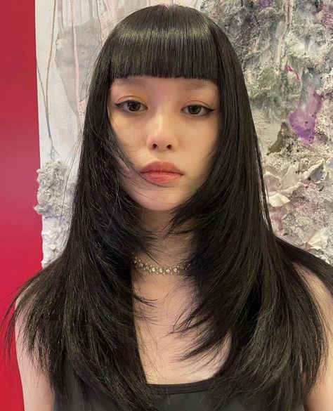 Micro Bangs, Y2k Hairstyles, Haircuts Straight Hair, Long Hair With Bangs, Long Black Hair, Haircuts For Long Hair, Dye My Hair, Hair Inspo Color, Haircut Ideas