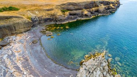 10 hidden gems to discover on BC's Hornby Island | Curated Hornby Island Bc, Hornby Island, Best Fish And Chips, Tidal Pool, Island Lifestyle, Community Halls, The World Is Your Oyster, World Is Your Oyster, Island Life Style