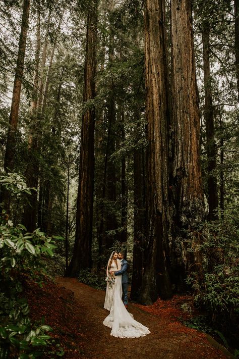 groom kissing bride's cheek in Muir Woods. Woods Wedding Photos, When To Get Married, Forest Wedding Photography, Redwoods National Park, Redwoods Elopement, Redwoods Wedding, Forest Photoshoot, Getaway Wedding, Redwood Wedding