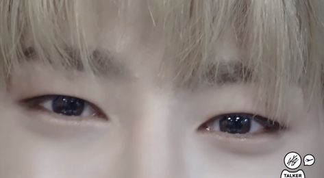 Jeongin Eyes Close Up, Jeongin Eyes, Skz Eyes, Kpop Eyes, Full Drawing, Eye Close Up, Fox Eyes, Eye Drawing Tutorials, Eye Details