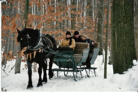 You can take a journey through the wooded area on a two-horse open sleigh all winter long on Saturdays and Sundays. Horse Drawn Sleigh, Percheron Horses, Art Muse, One Horse Open Sleigh, Sleigh Rides, Frozen Pond, Ohio Travel, Christmas Horses, Dashing Through The Snow