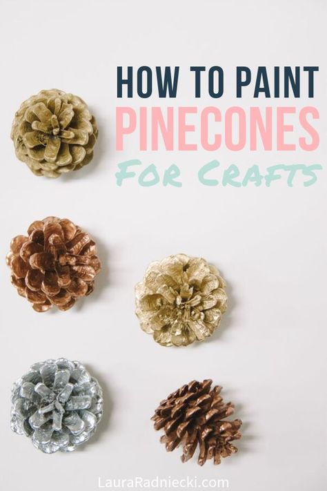 Here's how to paint pine cones for crafts and decorations using clean, dry pine cones and spray paint. Painted pine cones are great for use in home decor and pine cone crafts! #pinecones #crafts #pineconecrafts #spraypaint #lauraradniecki Spray Painting Pine Cones Diy, Painting Pine Cones For Christmas, How To Paint Pinecones Diy, How To Paint Pine Cones, How To Clean Pinecones For Crafts, How To Paint Pinecones, Spray Paint Pine Cones, Painting Pinecones, Paint Pinecones