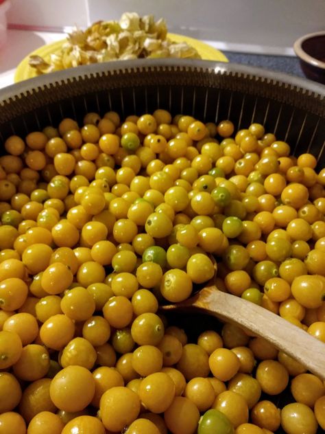 Homemade Ground Cherry Jam - No Pectin Required Canning Ground Cherries, Ground Cherry Preserves, Ground Cherry Jam Recipes, Ground Cherry Jam, Ground Cherry Recipes, Ground Cherries, Ground Cherry, Cherry Jam Recipes, Golden Berry