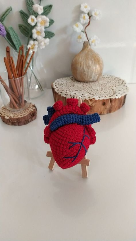 Human Organ System, Crochet Anatomy, Heart Anatomical, Anatomy Organs, Heart Crochet, Human Organ, Organ System, Crochet Heart, Anatomy