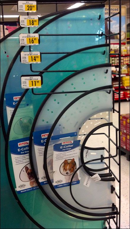 Elizabethan Pet Collar Fixture for Dogs Dog Collar Storage Ideas, Pet Shop Display, Vet Clinic Organization, Veterinary Storage, Cat Daycare, Veterinary Oncology, Pet Store Design, Pet Market, Vet Medicine