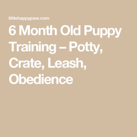 6 Month Old Puppy Training – Potty, Crate, Leash, Obedience 6 Month Old Puppy, Crate Training Puppy Schedule, Potty Training Schedule, Puppy Training Schedule, Crate Training Puppy, Potty Training Tips, Potty Training Puppy, Leash Training, Crate Training