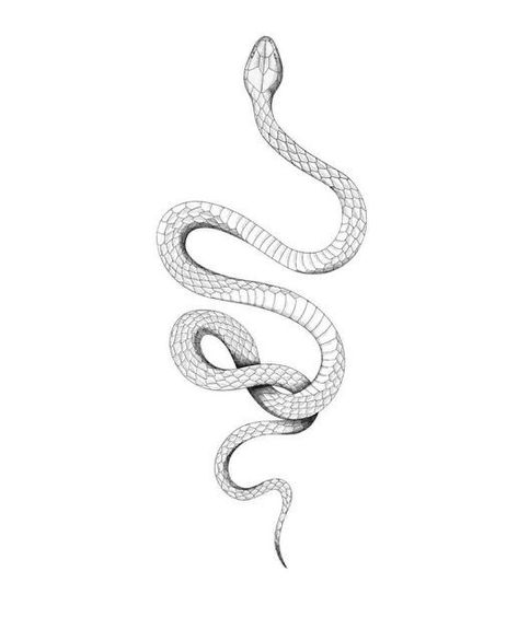 Tattoo Stencils Snake, Spine Tattoo Snake, Snake Spine Tattoos For Women, Fineline Snake Tattoo, Snake Back Tattoo Spine, Snake Spine Tattoo, Serpent Tattoo, Snake Tattoo Design, Snake Head