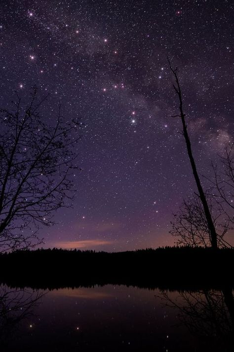 Beautiful Night Sky, Night Sky Photography, Night Sky Wallpaper, Sky Full Of Stars, Personal Photography, Night Scenery, Wallpaper Space, Pretty Sky, Beautiful Nature Wallpaper