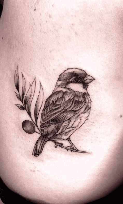 Sparrow Tattoo Design Images (Sparrow Ink Design Ideas) Sparrow Olive Branch Tattoo, Sparrow Tattoos For Women, Italian Sparrow Tattoo, White Throated Sparrow Tattoo, Bird Tattoo Realistic, House Sparrow Tattoo, His Eye Is On The Sparrow Tattoo, Lilly And Sparrow Tattoo, Finch Bird Tattoo