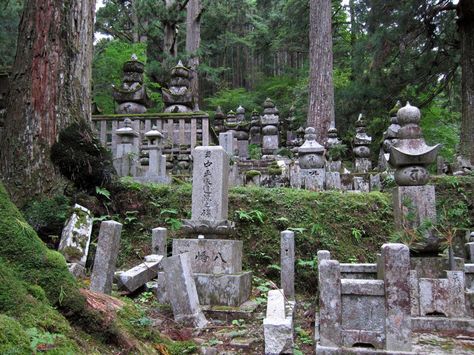 Sleeping with Monks: A Night in a Japanese Temple in Koya-San Okunoin Cemetery, Drawtober 2023, Japanese Cemetery, Wind Phone, Places To Visit In Japan, Mountain Temple, Japanese Forest, Japanese Shrine, Japanese Style House