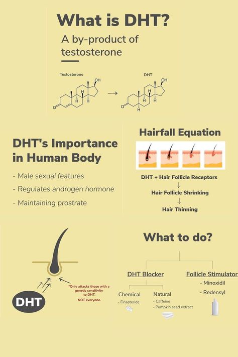 Dht Blocker Foods Hair, Dht Blockers For Women, Hair Theory, Alternative Medicine Holistic Healing, Hair Journey Tips, Egg Hair Mask, Lemon Hair, Hair Science, Dht Blockers