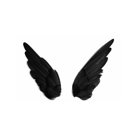 Black Swan Wings, Black Swan Movie, Swan Wings, Wings Png, Polyvore Items, Red Plaid Dress, Swan Queen, Two Braids, Black Wings