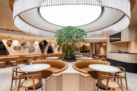 Yunnan cuisine returns to Singapore with Yun Nans at Jewel Changi Airport, Food News & Top Stories - The Straits Times Canteen Design, Jewel Changi Airport, Ceiling Feature, Restaurant Bar Design, Outside Bars, Changi Airport, Bar Design Awards, Timber Panelling, Planter Design