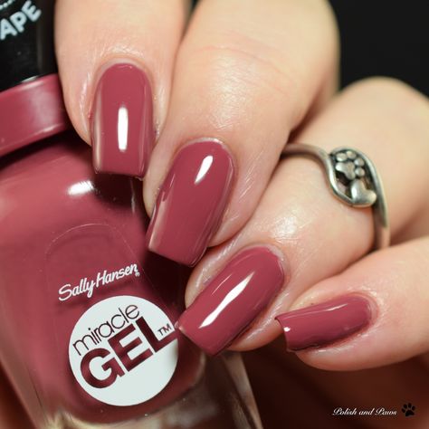 Sally Hansen Miracle Gel Beet Pray Love Sally Hansen Gel Nails, Sally Hansen Gel, Sally Hansen Nail Polish, Beautiful Nail Polish, Love Shoot, Sally Hansen Nails, Sally Hansen Miracle Gel, Gel Nails Diy, Nail Polish Swatches