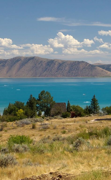 Bear Lake State Park | Travel | Vacation Ideas | Road Trip | Places to Visit | Garden City | UT | Fishing Spot | State Park | Hiking Area | RV Park | Campground | Cottage / Cabin Rental Bear Lake Idaho, Bear Lake Utah, Utah Bucket List, Utah Lakes, Glamping Resorts, Road Trip Places, Breathtaking Places, Lake County, Bear Lake