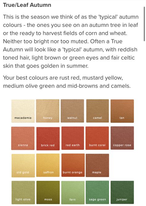 Autumn Color Palette Fashion, Deep Autumn Color Palette, Soft Autumn Color Palette, Autumn Color Palette, True Autumn, Deep Autumn, Seasonal Color Analysis, Neutral Undertones, Fall Color Palette