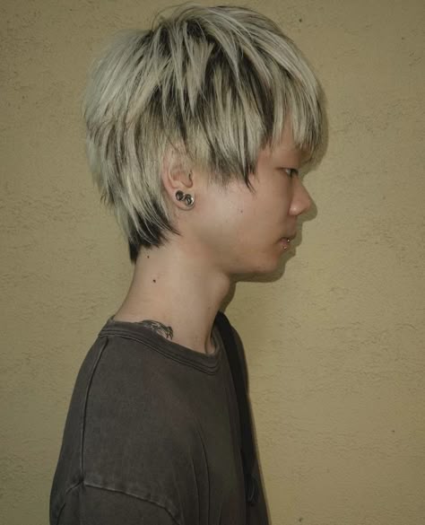 Partially Bleached Hair, Grown Out Blonde Hair, White Hair Highlights, Bleached Hair Men, Skunk Hair, Dyed Blonde Hair, Men Hair Color, Dyed Hair Inspiration, Hair Inspiration Short