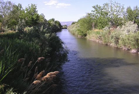 Murray, Utah Section of the Jordan River Parkway, There are three good access points to the Murray section of the Jordan River Parkway (which runs just west of I-15 about a half mile to a mile).  One is at 4800 South, another is at 5400 South and a third is at 6400 South or Winchester Blvd. River Jordan, The Jordan River, Jordan River, Future Dreams, Find People, Christmas Village, Syria, Sunday School, Lebanon