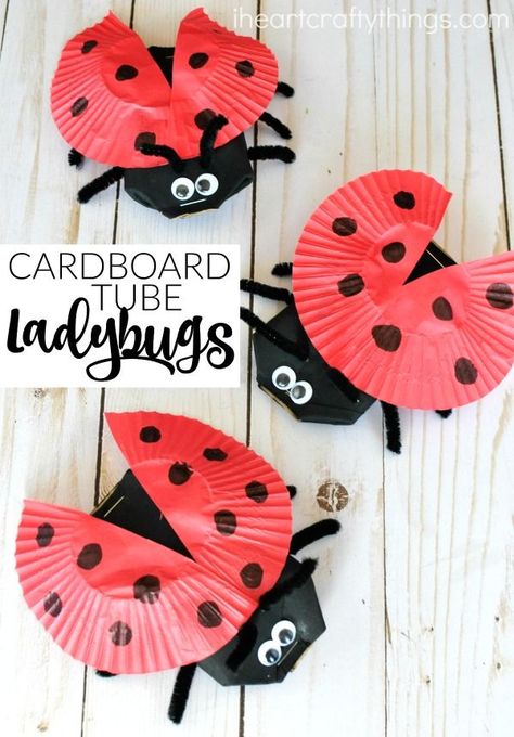 This darling cardboard tube ladybug craft is a great spring kids craft, insect craft for kids, recycled kids craft and ladybug kids craft. Ladybug Crafts For Kids, Spring Kids Craft, Bugs Crafts, Insect Craft, Ladybug Craft, Cardboard Tube Crafts, Recycling For Kids, Recycled Crafts Kids, Insect Crafts