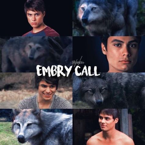 Embry Call Wolf, Twilight Embry Call, Embry Twilight, Embry Call Aesthetic, Kiowa Gordon, Twilight Wolves, Embry Call, Stephenie Meyer Books, Twilight Wolf Pack