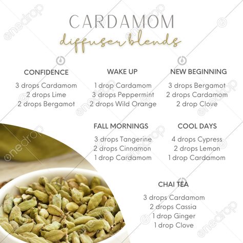 Cardamom Oil Blends, Cardamom Essential Oil Diffuser Blends, Cardamom Diffuser Blends, Cardamom Essential Oil Blends, Pot Potpourri, Stealth Health, Aromatherapy Oil Blends, Cardamom Essential Oil, Beetroot Recipes